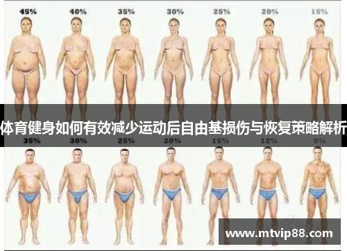 体育健身如何有效减少运动后自由基损伤与恢复策略解析