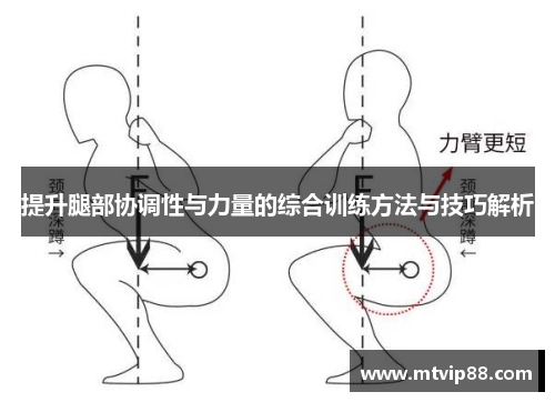 提升腿部协调性与力量的综合训练方法与技巧解析